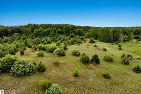 Tiny photo for 11369 Milarch Road, Bear Lake, MI 49614 (MLS # 1947604)