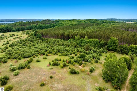 Tiny photo for 11369 Milarch Road, Bear Lake, MI 49614 (MLS # 1947604)