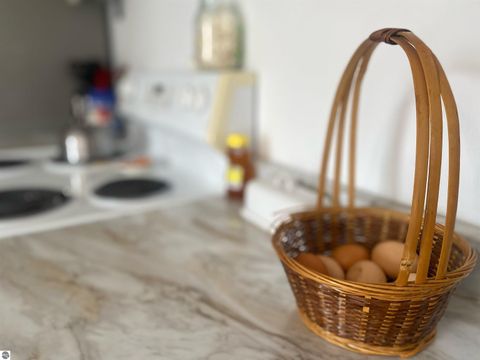 Tiny photo for 415 Sunnyside Drive, Cadillac, MI 49601 (MLS # 1943459)