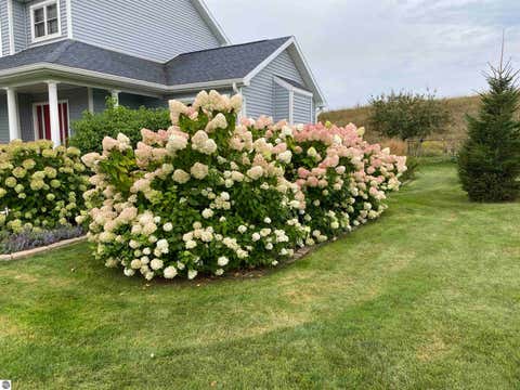 Tiny photo for 7031 Applewood Drive, Charlevoix, MI 49720 (MLS # 1947979)