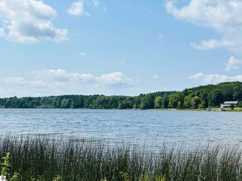 Tiny photo for 4859 Rushton Road, Central Lake, MI 49622 (MLS # 1948921)