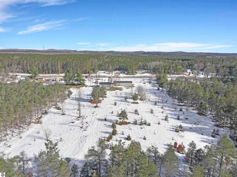 Tiny photo for 2518 E 32 Road, Cadillac, MI 49601 (MLS # 1943295)