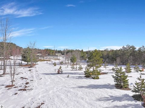 Tiny photo for 2518 E 32 Road, Cadillac, MI 49601 (MLS # 1943295)