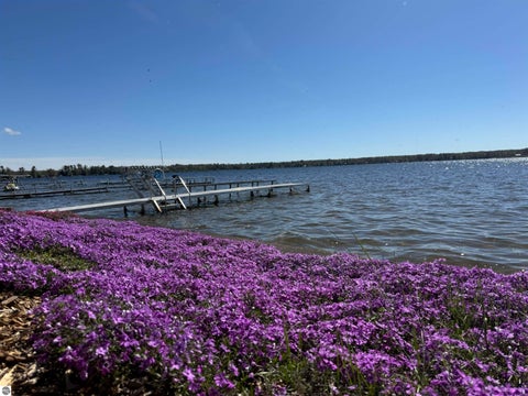 Tiny photo for 4805 E Shore Drive, Kalkaska, MI 49646 (MLS # 1945582)