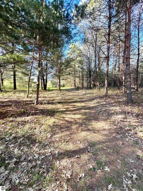 Tiny photo for 1718 N Saddler Road, Luther, MI 49656 (MLS # 1945148)