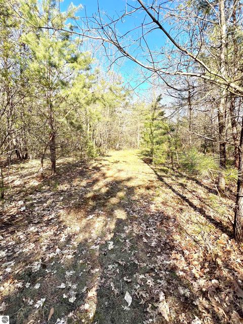 Tiny photo for 1718 N Saddler Road, Luther, MI 49656 (MLS # 1945148)