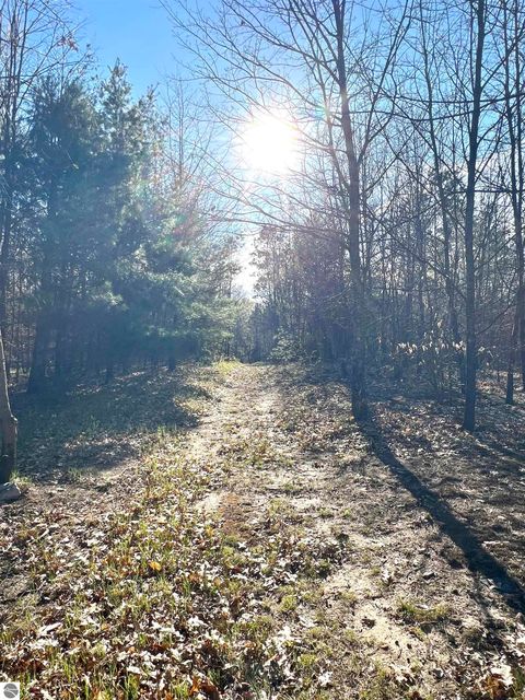 Tiny photo for 1718 N Saddler Road, Luther, MI 49656 (MLS # 1945148)