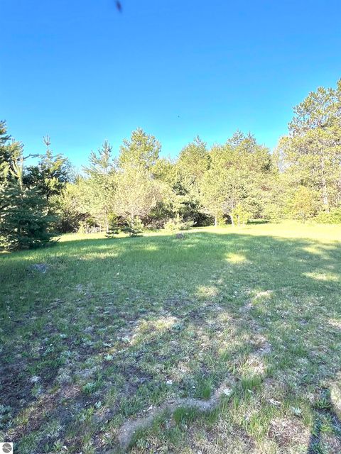 Tiny photo for 1718 N Saddler Road, Luther, MI 49656 (MLS # 1945148)
