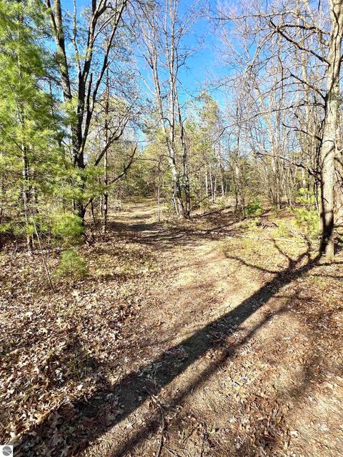 Tiny photo for 1718 N Saddler Road, Luther, MI 49656 (MLS # 1945148)