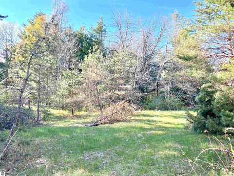 Tiny photo for 1718 N Saddler Road, Luther, MI 49656 (MLS # 1945148)