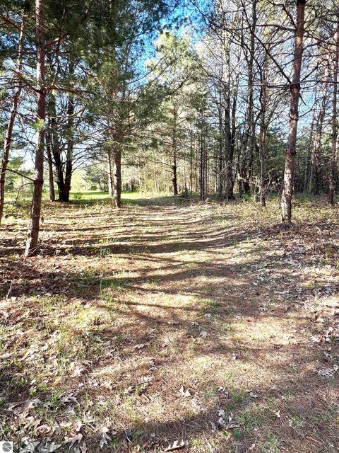 Tiny photo for 1718 N Saddler Road, Luther, MI 49656 (MLS # 1945148)