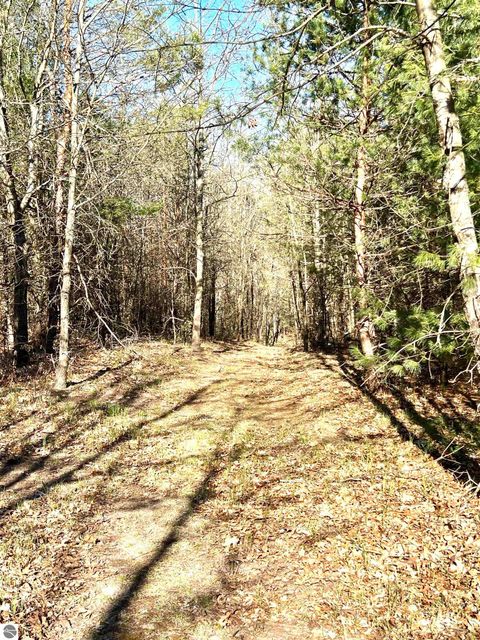 Tiny photo for 1718 N Saddler Road, Luther, MI 49656 (MLS # 1945148)