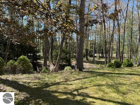 Tiny photo for 1095 E Lincoln Street, East Tawas, MI 48730 (MLS # 1945583)