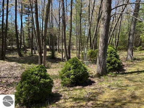 Tiny photo for 1095 E Lincoln Street, East Tawas, MI 48730 (MLS # 1945583)