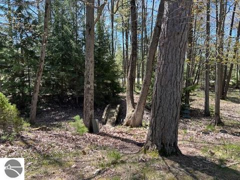 Tiny photo for 1095 E Lincoln Street, East Tawas, MI 48730 (MLS # 1945583)