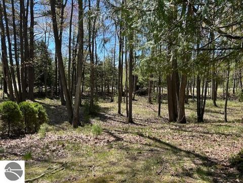 Tiny photo for 1095 E Lincoln Street, East Tawas, MI 48730 (MLS # 1945583)