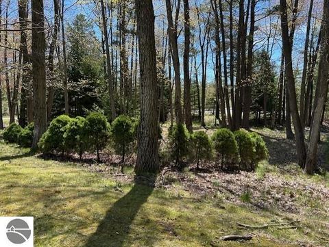 Tiny photo for 1095 E Lincoln Street, East Tawas, MI 48730 (MLS # 1945583)
