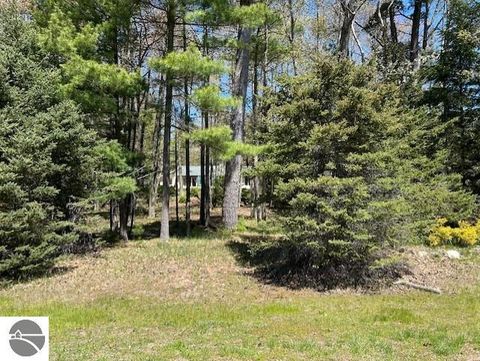 Tiny photo for 1095 E Lincoln Street, East Tawas, MI 48730 (MLS # 1945583)