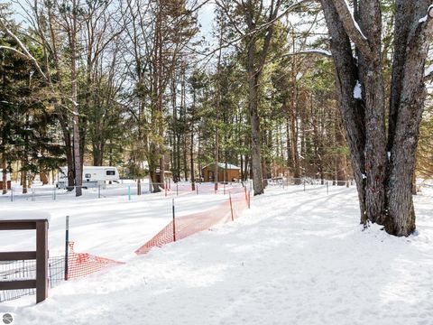 Tiny photo for 4632 E M-55, Cadillac, MI 49601 (MLS # 1942186)