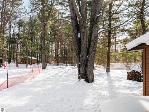 Tiny photo for 4632 E M-55, Cadillac, MI 49601 (MLS # 1942186)