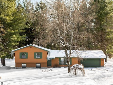 Tiny photo for 4632 E M-55, Cadillac, MI 49601 (MLS # 1942186)