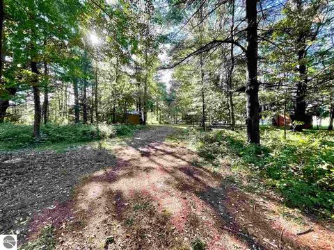 Tiny photo for 4632 E M-55, Cadillac, MI 49601 (MLS # 1942186)