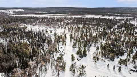 Tiny photo for 234 W Elder, Harrison, MI 48625 (MLS # 1942327)