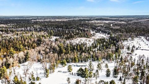 Tiny photo for 234 W Elder, Harrison, MI 48625 (MLS # 1942327)