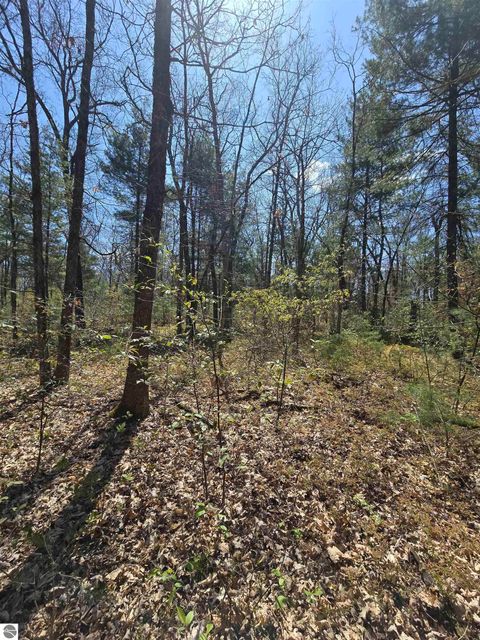 TBD S Locust Avenue White Cloud MI 49349