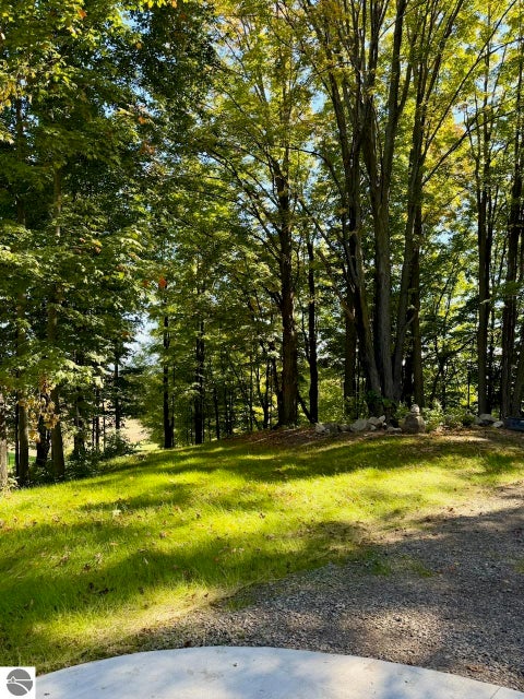 Tiny photo for 11759 E M 72, Williamsburg, MI 49690 (MLS # 1951272)