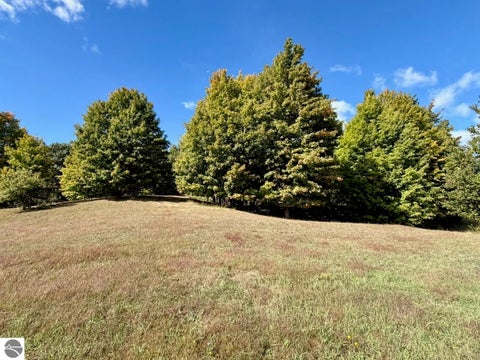 Tiny photo for 11759 E M 72, Williamsburg, MI 49690 (MLS # 1951272)