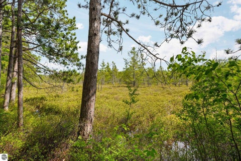 Tiny photo for 28525 Fox Pointe Trail, Beaver Island, MI 49782 (MLS # 1946275)