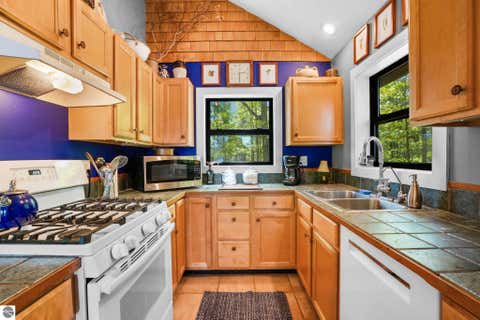 Tiny photo for 28525 Fox Pointe Trail, Beaver Island, MI 49782 (MLS # 1946275)