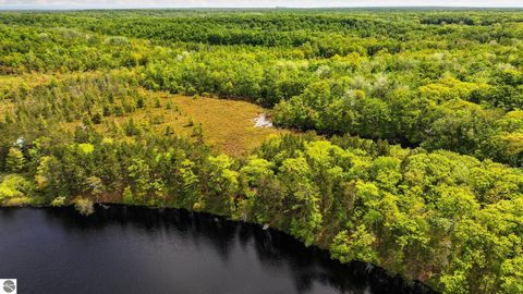 Tiny photo for 28525 Fox Pointe Trail, Beaver Island, MI 49782 (MLS # 1946275)