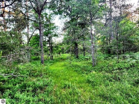 Tiny photo for 2498 W Five Mile Road, Grayling, MI 49738 (MLS # 1943236)