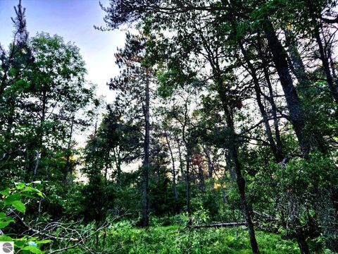 Tiny photo for 2498 W Five Mile Road, Grayling, MI 49738 (MLS # 1943236)