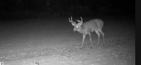 Tiny photo for 2498 W Five Mile Road, Grayling, MI 49738 (MLS # 1943236)