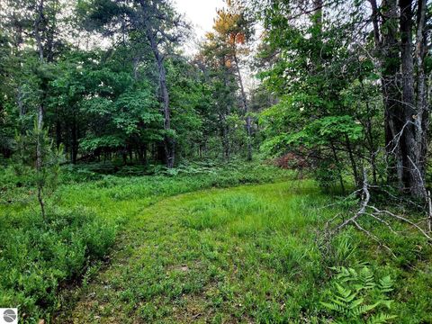 Tiny photo for 2498 W Five Mile Road, Grayling, MI 49738 (MLS # 1943236)