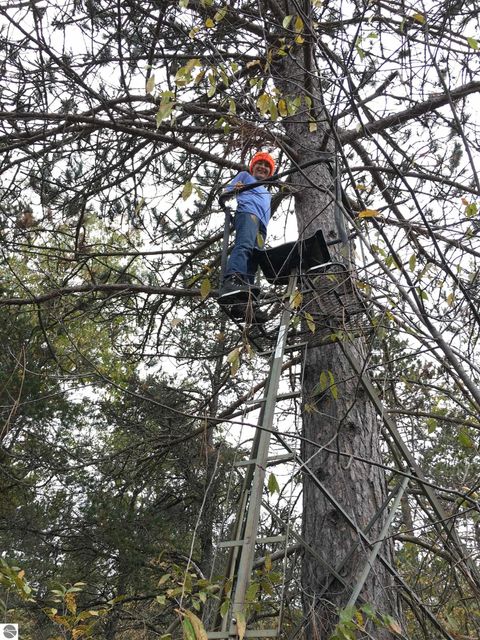 Tiny photo for 2498 W Five Mile Road, Grayling, MI 49738 (MLS # 1943236)