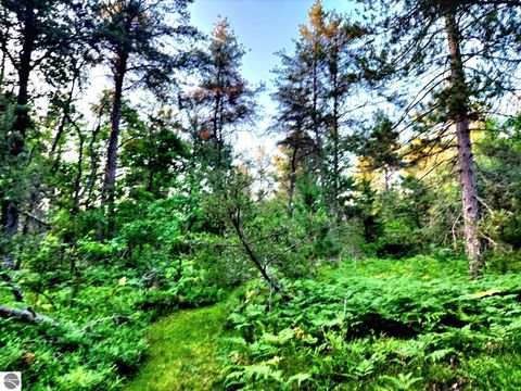 Tiny photo for 2498 W Five Mile Road, Grayling, MI 49738 (MLS # 1943236)