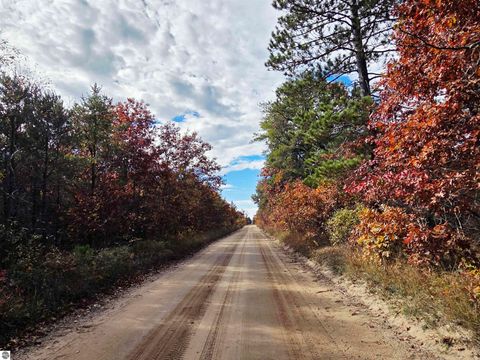 Tiny photo for 2498 W Five Mile Road, Grayling, MI 49738 (MLS # 1943236)