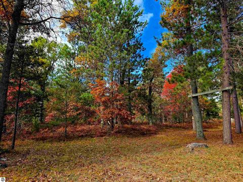 Tiny photo for 2498 W Five Mile Road, Grayling, MI 49738 (MLS # 1943236)
