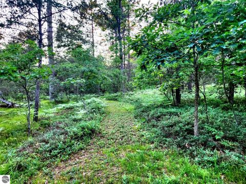 Tiny photo for 2498 W Five Mile Road, Grayling, MI 49738 (MLS # 1943236)