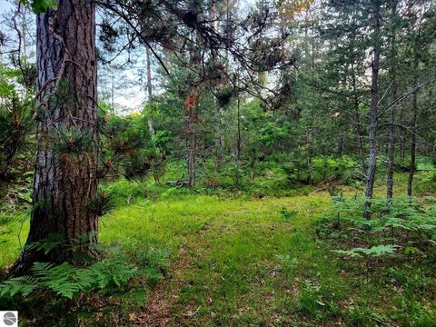 Tiny photo for 2498 W Five Mile Road, Grayling, MI 49738 (MLS # 1943236)