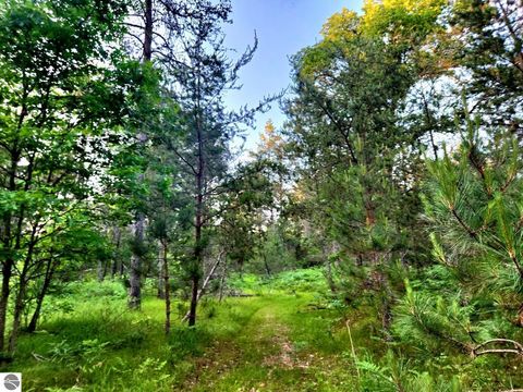Tiny photo for 2498 W Five Mile Road, Grayling, MI 49738 (MLS # 1943236)