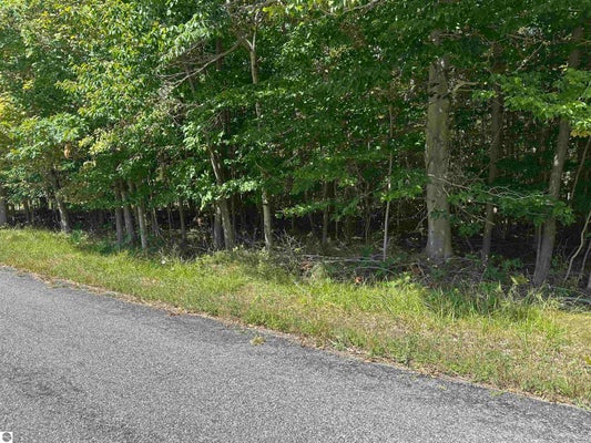 BAY COLONY RD, KEWADIN, MI 49648 - Image c60ecbbd738ca82c159c7224ff5c8a1a/530600635