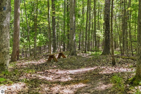 Tiny photo for 330 Rasho Road, Traverse City, MI 49696 (MLS # 1949647)