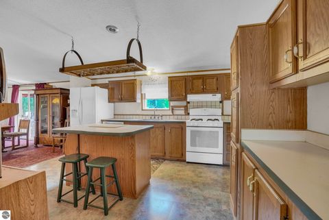 Tiny photo for 21513 23 Mile Road, Tustin, MI 49688 (MLS # 1945834)