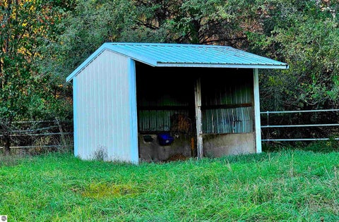 Tiny photo for 8181 N Pitt Road, Elwell, MI 48832 (MLS # 1951946)