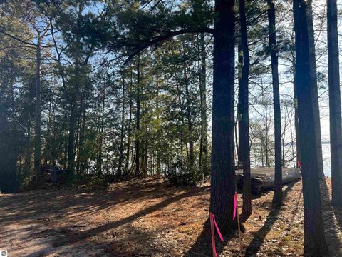 Tiny photo for 0 M-22, Suttons Bay, MI 49682 (MLS # 1943657)